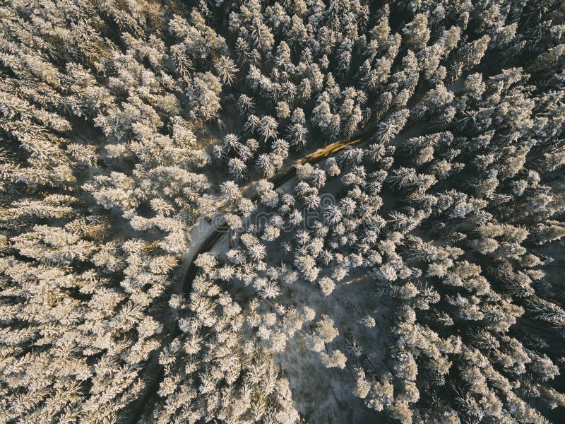 Top aerial view of snow mountain landscape with trees and road. royalty free stock photography Top aerial view of snow mountain landscape with trees and road. royalty free stock photography