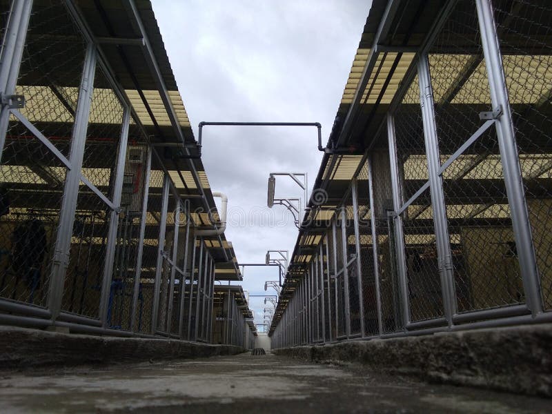 The Top of the Building for Laundry Stock Image Image of facade