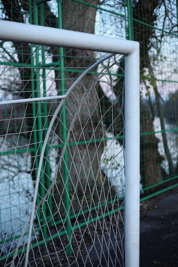 Top Corner of a Soccer Goal Stock Image Image of tree, wall 266670659