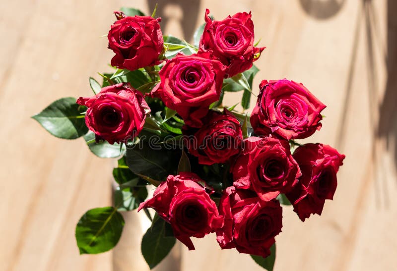 Topdown Bouquet of Roses in the Sun Stock Image Image of front