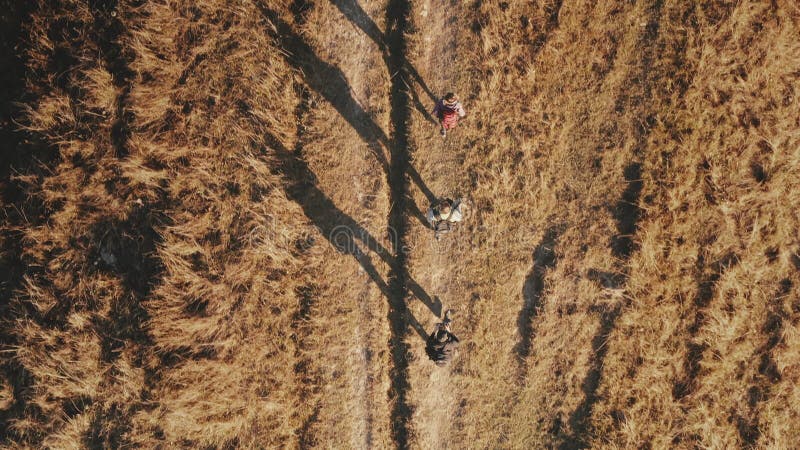 Top down closeup mountaineers hiking at burnt grass rural road aerial. Autumn nature landscape