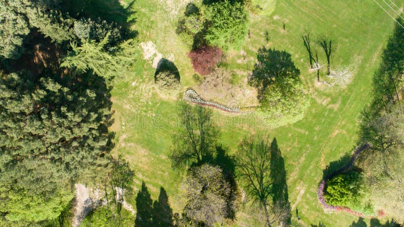 Top view of city park, garden