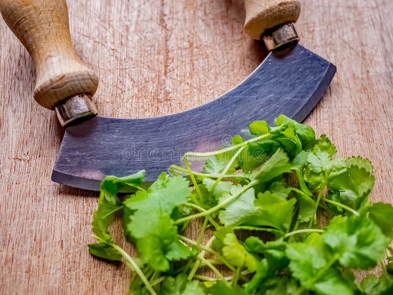 Double Handed Herb Chopper and Green Leaves with Selective Focus on Chopper  Stock Photo - Image of coriander, freshness: 172190506