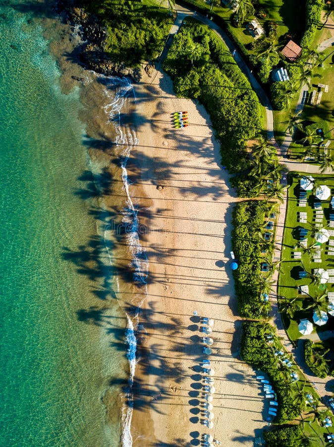 Top down view of the the Maui coastline with long palm tree shadows royalty free stock photos Top down view of the the Maui coastline with long palm tree shadows royalty free stock photos