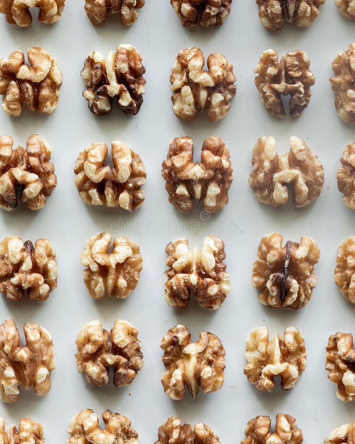 Top down view of rows of fresh undamaged shelled walnuts. royalty free stock photos