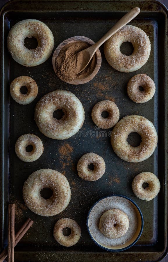 Cinnamon donuts stock photo. Image of chocolate, flavour 11705332