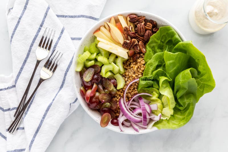 Top Down View of a Waldorf Salad Bowl Ready for Eating. Stock Image