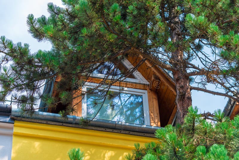 top floor of a village house against a backdrop of pine branches