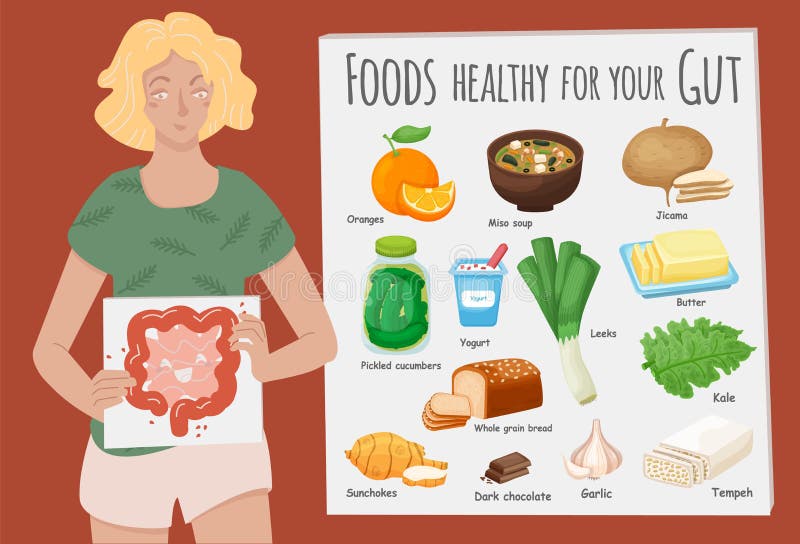 Probiotic Foods Stock Illustrations – 59 Probiotic Foods Stock  Illustrations, Vectors & Clipart - Dreamstime