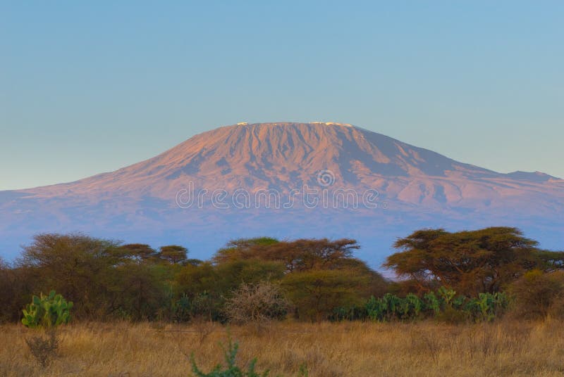 Top of kilimanjaro mountain in the sunrise