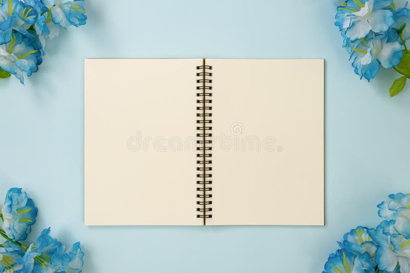 spiral sketchpad spiral sketchpad