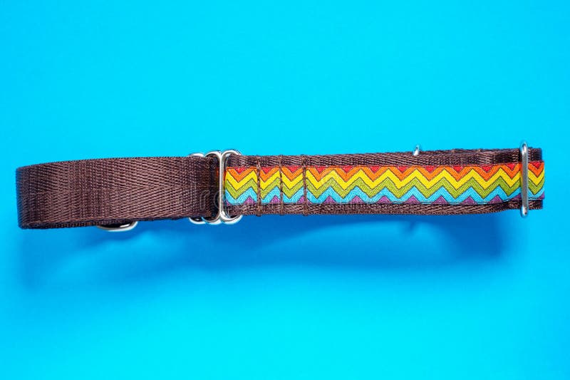 dog collar and leash in one