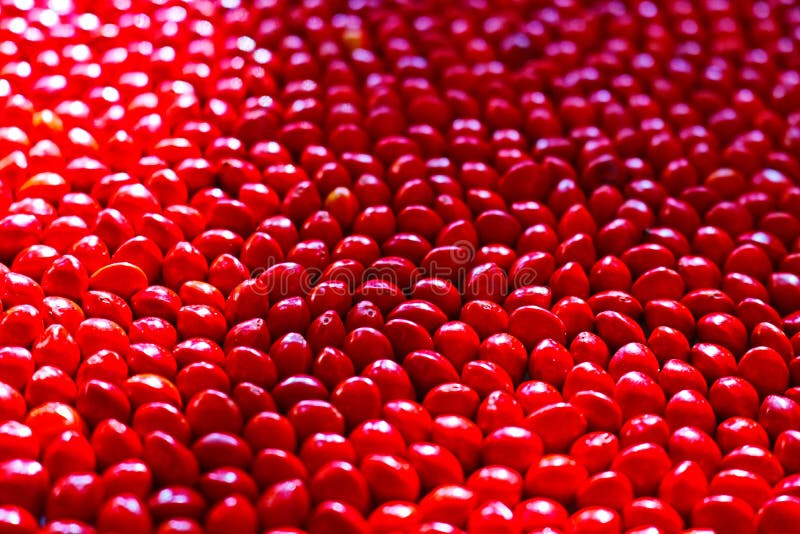 Seeds field of red color abstract background image
