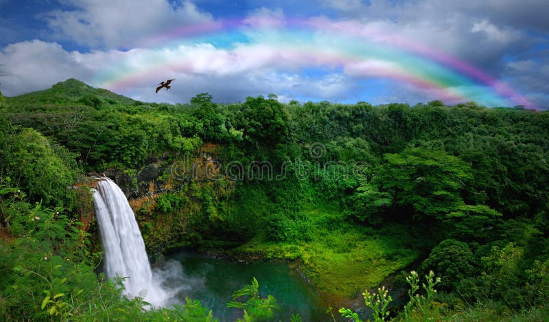 Cascata di Kauai, Con l'Arcobaleno e Uccello in testa.