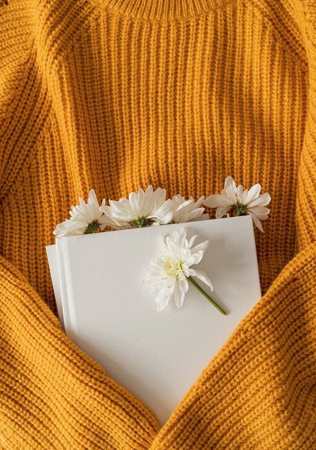 Top view of a book with white chrysanthemum flowers on yellow sweater