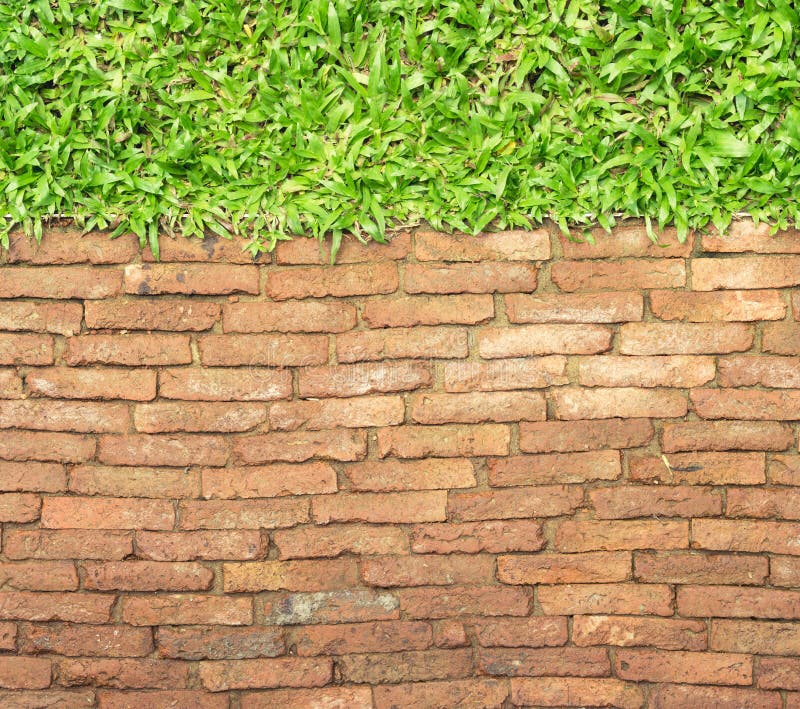Top view brick walk path and grass land background royalty free stock photos