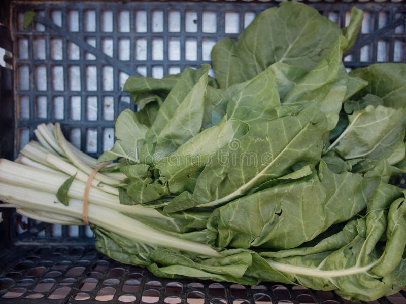 Top View of a Bunch of Collard Greens in a Basket Stock Image Image