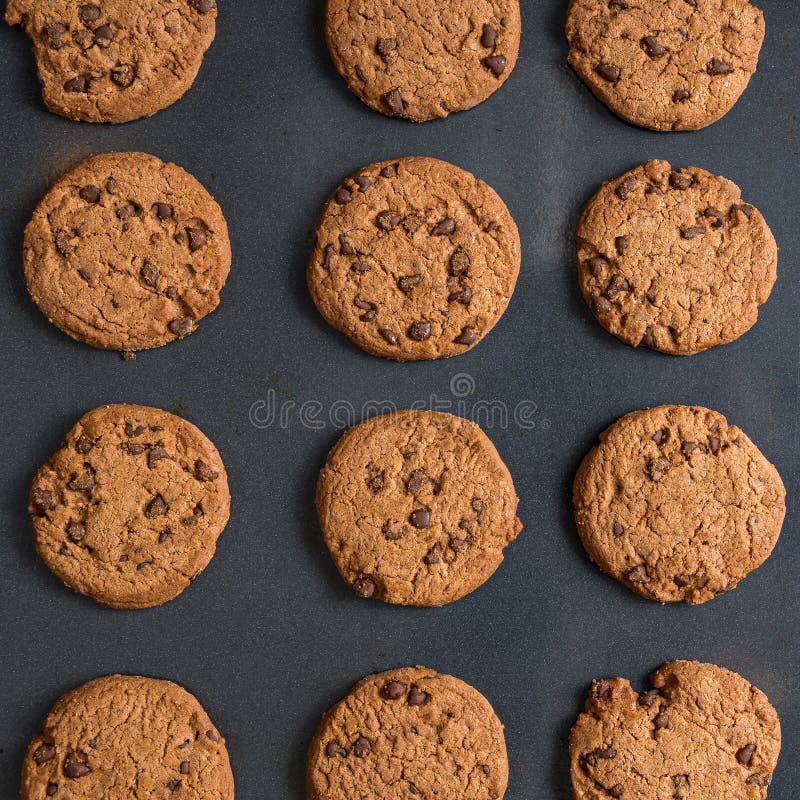 Top View of Chocolate Chip Cookies on a Baking Pan Stock Image Image