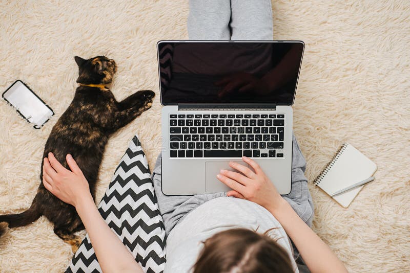 Top view close up of young girl sitting on floor using laptop computer typing studying working online, next lying small dark cat