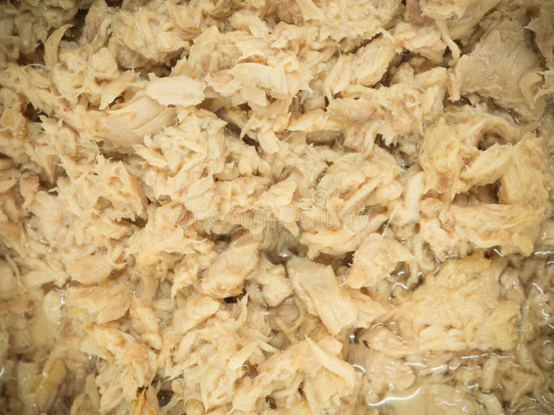 Tunawhite Stock Photos Free & RoyaltyFree Stock Photos from Dreamstime