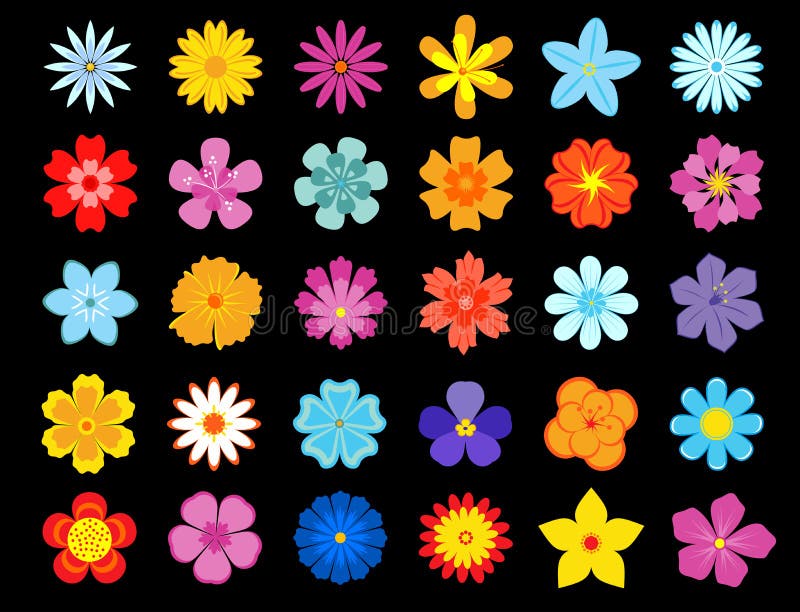 Top View of Colorful Blooming Flowers Stock Vector - Illustration of ...
