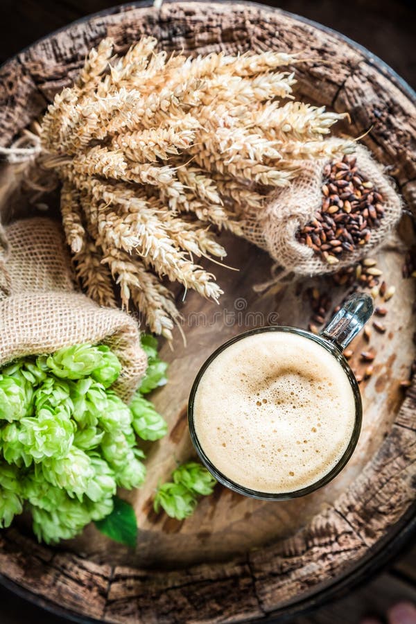 Top View of Dark Beer, Hops and Wheat Stock Photo Image of cellar