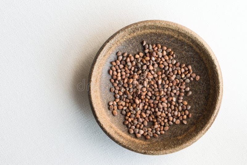 Top view of dry radish seeds isolated in a bowl. Top view of dry radish seeds isolated in a bowl