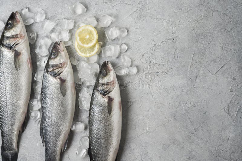 Top view fish frame with ice lemon. High quality photo stock photos