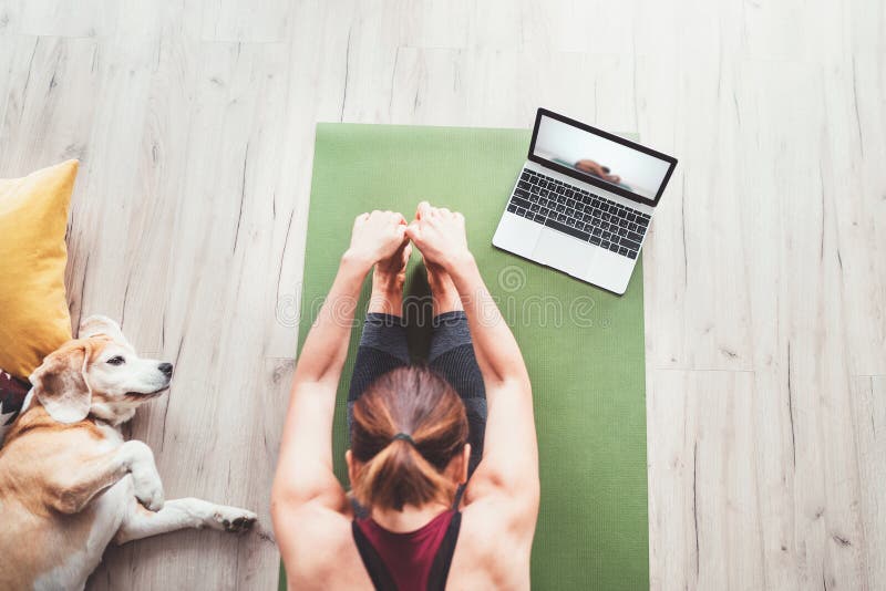 Sul gli sport salutare una donna sedersi sul stuoia posa, Fare respirazione esercizio, tracciamento connesso a internet la classe sul portatile.