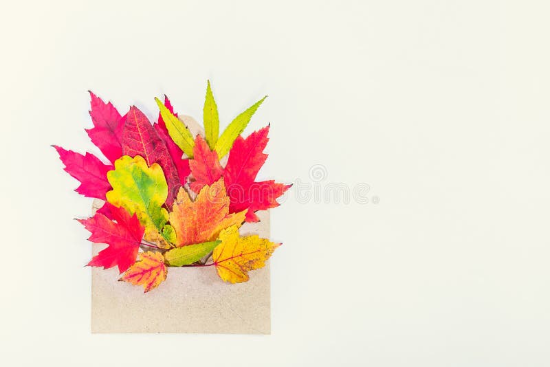 Top view flat lay autumn concept composition. Envelope with bright autumn leaves on white background isolated. Mock up fall thanks stock photography