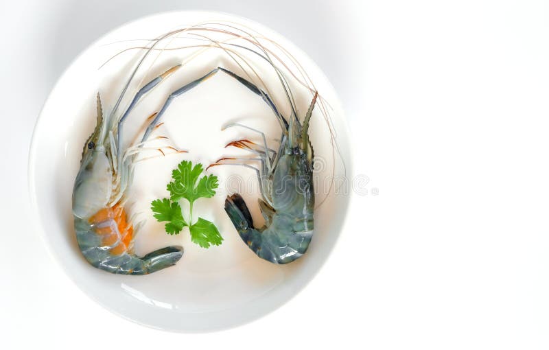 Top View of Fresh Shrimp on the Plate. Raw Prawn and Shrimp in Plate on