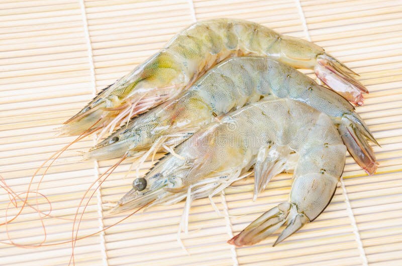 Top view of Fresh Shrimps stock photo. Image of lunch - 54659816