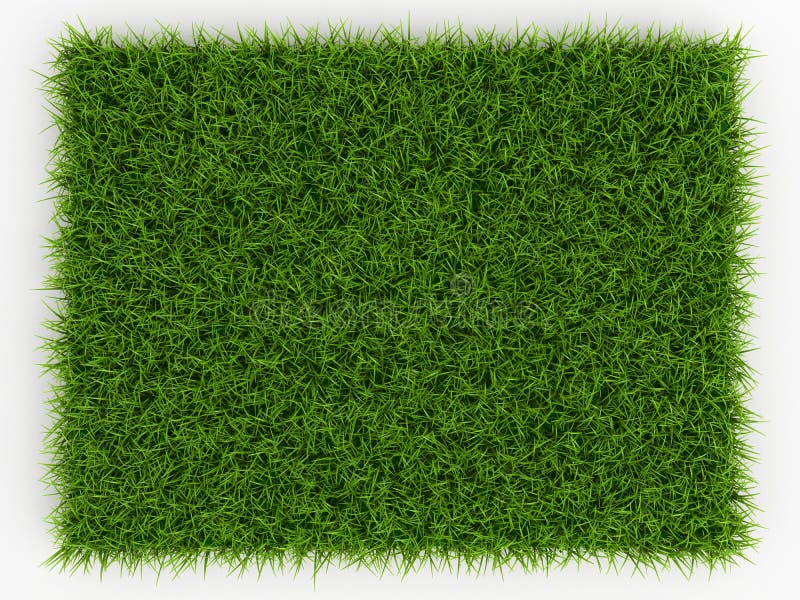 Top view of Fresh Spring Green Grass - natural background royalty free illustration