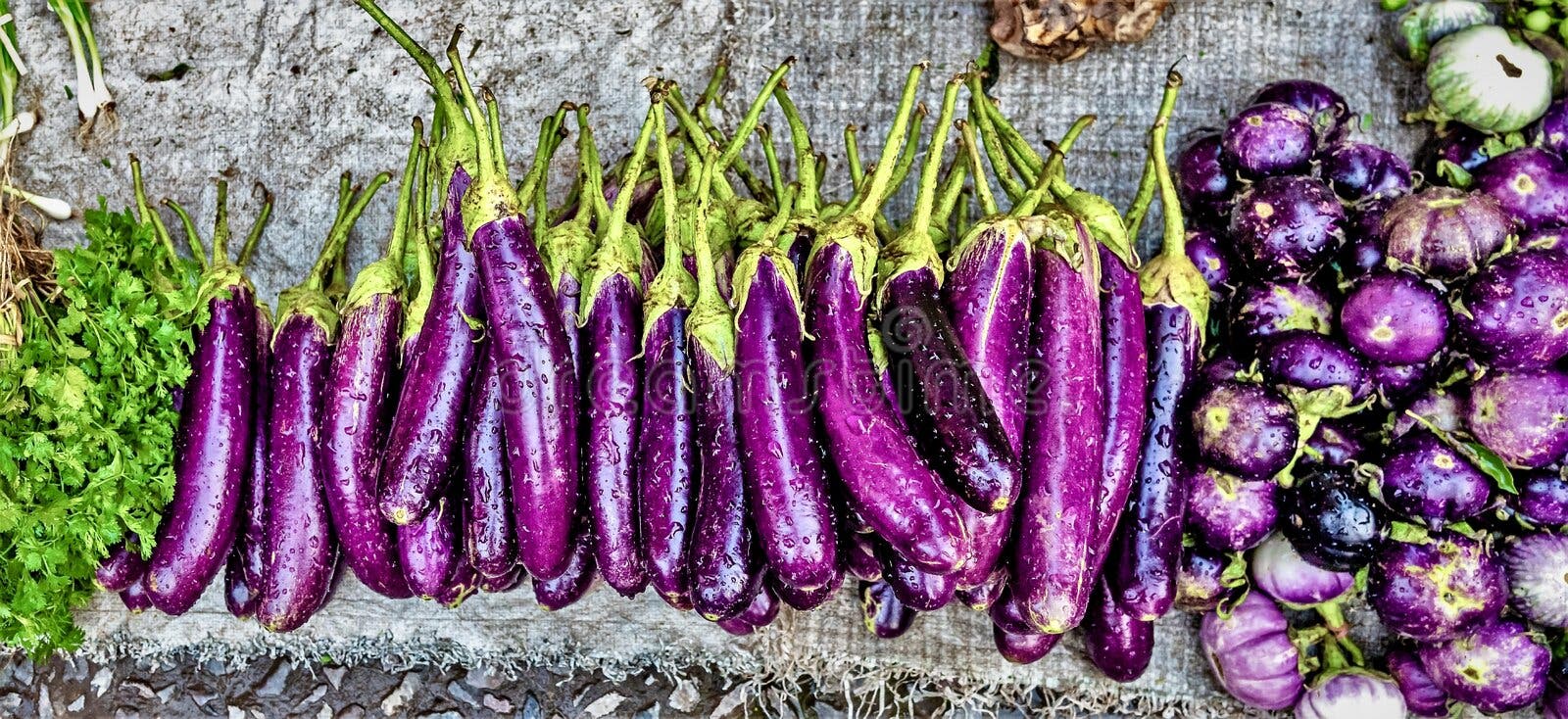 Fresh Vegetables are Growing in Indoor Farm/vertical Farm. Stock Image