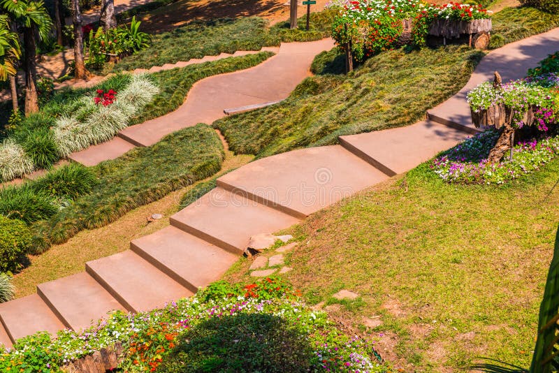 Top view of garden stock photo. Image of park, lush 217776384