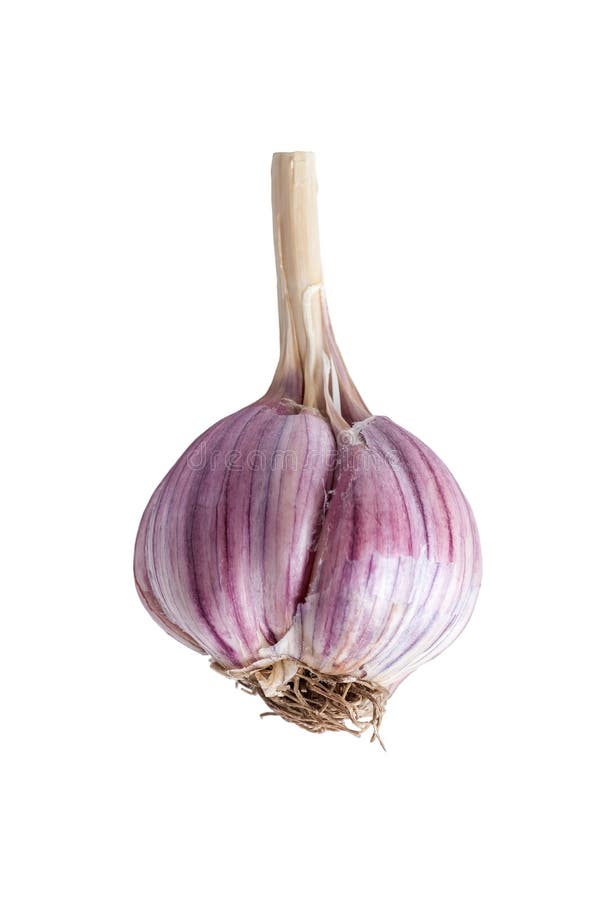 Garlic Head, Cardamom, Black Pepper and Garlic Cloves Top View Isolated