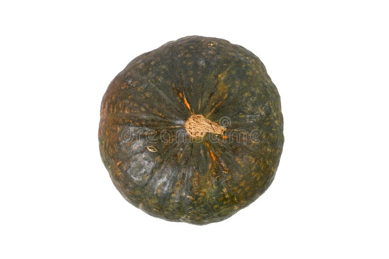 Top view of green Japanese Kabocha squash stock images