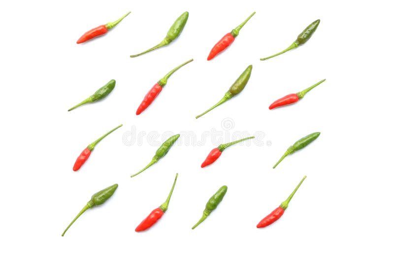 Top view of isolated red and green fresh Thai chili arranged in a neat rows, Flat lay style for background