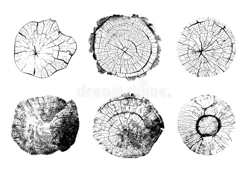 Top view of isolated tree stumps illustrations royalty free illustration Top view of isolated tree stumps illustrations royalty free illustration