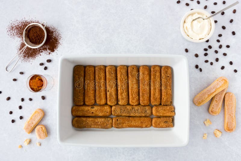Top View of Ladyfingers in Tiramisu Form and Tiramisu Ingredients Stock