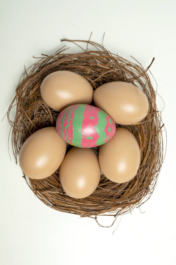 Top view of nest filled with decorated easter eggs royalty free stock images