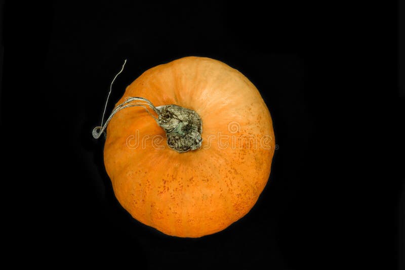 Top view of orange pumpkin isolated on black background royalty free stock photography Top view of orange pumpkin isolated on black background royalty free stock photography