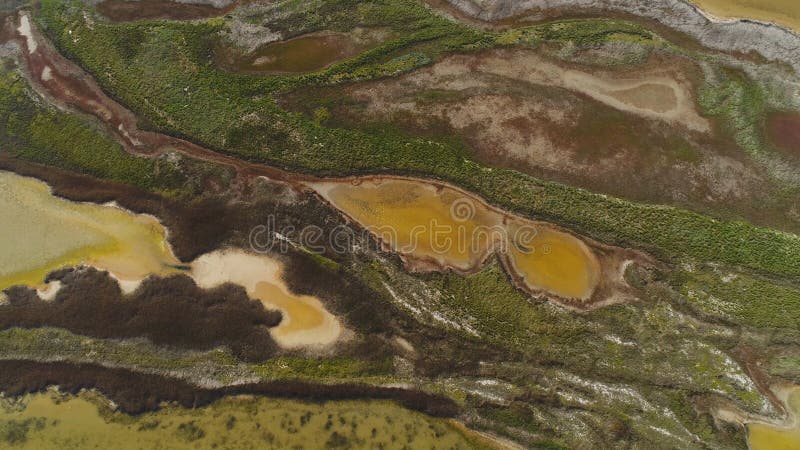 Top view of patterned dirty water from swamp. Shot. Acid brown water with green thickets looks like fluid art from top stock photo Top view of patterned dirty water from swamp. Shot. Acid brown water with green thickets looks like fluid art from top stock photo