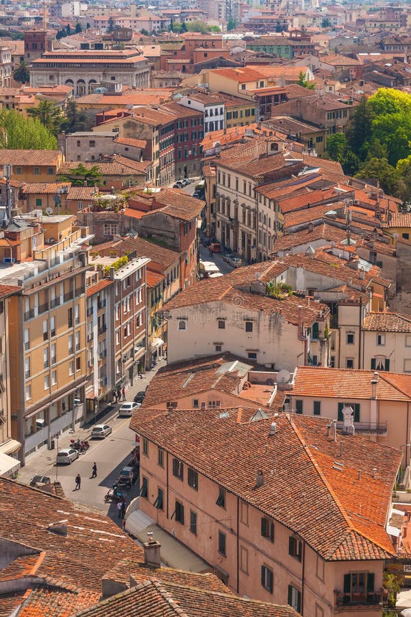 Top view of Pisa