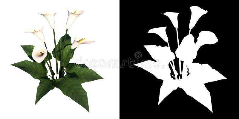 Render of plant on white background with alpha for cutout png. Render of plant on white background with alpha for cutout png