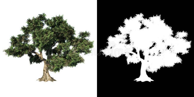 Trees Png Stock Illustrations 958 Trees Png Stock Illustrations Vectors Clipart Dreamstime Trees Png Stock Illustrations 958 Trees Png Stock Illustrations Vectors Clipart Dreamstime