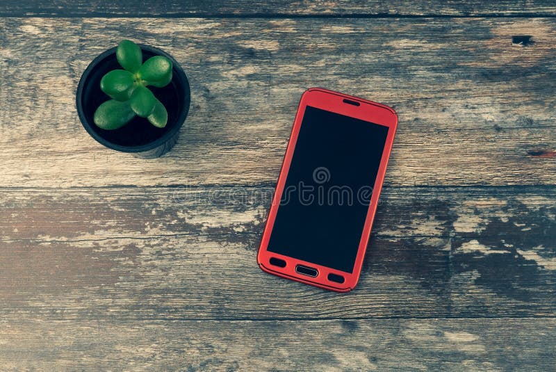 Top view of red android cellphone with a blank empty screen with copyspace and a trendy small green succulent plant stock photos