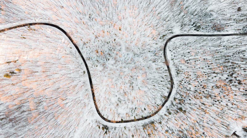 top view of road and snow in the forest during a winter season