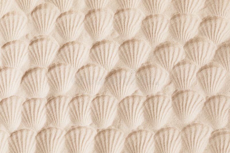 Top view of a sandy texture with imprints of mollusks as natural textured background stock photo Top view of a sandy texture with imprints of mollusks as natural textured background stock photo