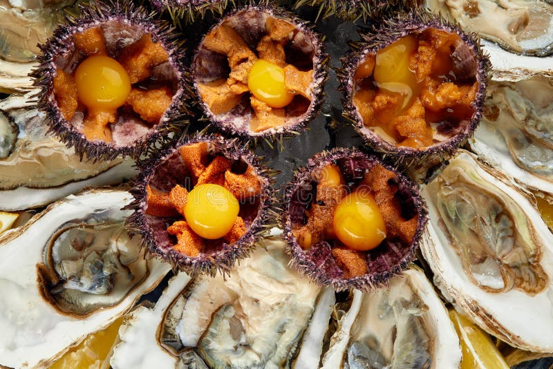 Top View of Seafood Platter Shellfish, Oysters, Sea Urchin and